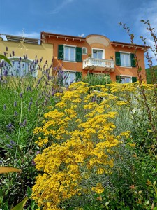 B&B Villa il poggio