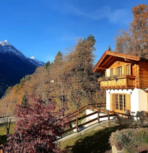 B&B Chalet Il Picchio