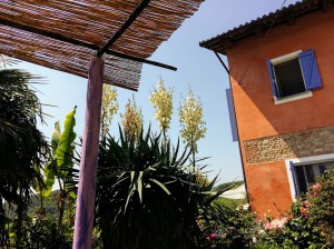 La Casa Della Lavanda B&B