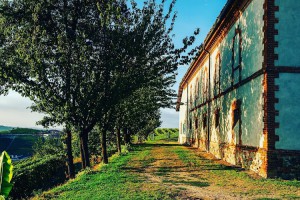 Cascina Longoria Agriturismo e Bed and Breakfast Neive