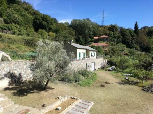 Agriturismo Verdure Naturali