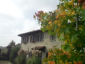 B&B Cinquecento - Cascina Pia