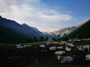 agriturismo Catalin