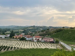 Azienda Agricola Marco Rabino