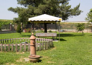 Agriturismo Va' E Vieni