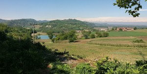 La Bottega Di Paola Di Vellano Paola