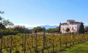 Azienda agricola La Palazzina di Montà Leonardo