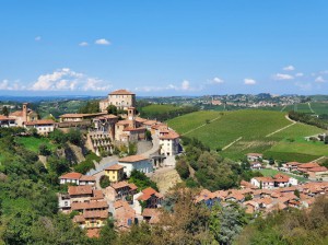 Azienda Agricola Teo Costa