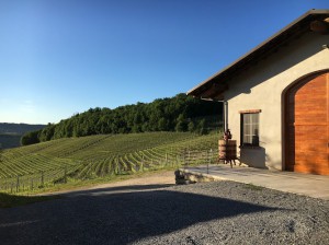 Cascina Sòt | Visite in Cantina