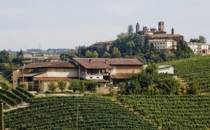 Azienda Agricola Pasquale Pelissero