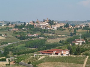 Cascina Principe - Vacca