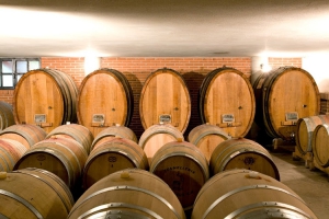 Francone - Cantina, Winery