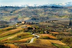 Abbazia di S. Gaudenzio   Casa Vinicola - Produzione e vendita vino, spumante, moscato