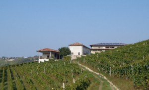 Azienda Agricola Ca' del Principe di Borello Ugo