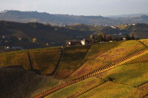 Azienda Agricola La Briccolina di Grasso Tiziano