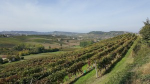 Ca 'd Tantin - Vini Biologici - Organic Wines