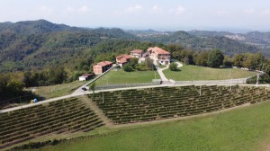 Azienda Vitivinicola Novarese