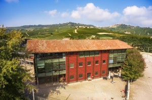 Vite Colte - Cantine in Barolo