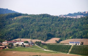 Tenuta Marengo az.agricola Biologica