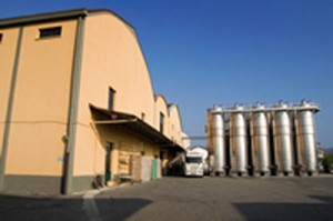 Cantina Sociale di Rivalta Bormida