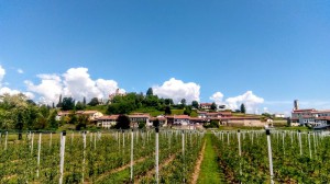 Azienda Agricola La Soleggiata