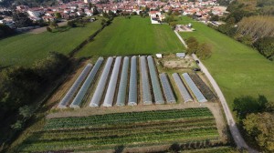 Azienda Agricola Biologica L'orto di Carmen