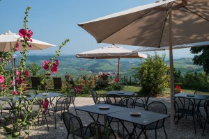 Agriturismo nelle Langhe - Il Gelso - appartamenti nella Valle del Barolo