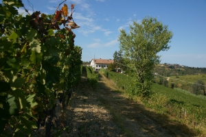 Cascina Carlén