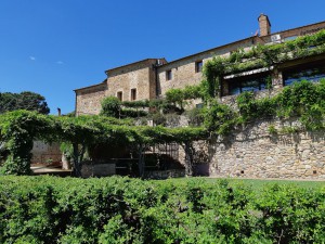 Bosco Della Spina