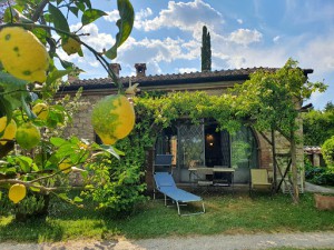 B&B Palazzo A Merse