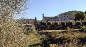 Borgo di Torri - Bed&breakfast