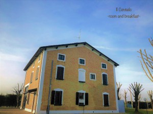 Il Contado -room and breakfast-