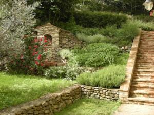 B&B Poggio degli Ulivi