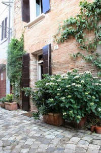 B&B della Celletta