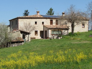 B&B Il Gelso