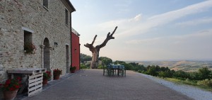 Agriturismo Ripabottina Montegridolfo