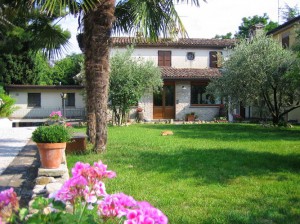 Bed & Breakfast delle Capinere