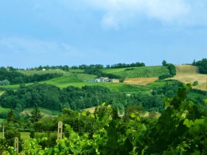 Croci Tenuta Vitivinicola