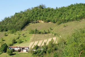 Società Agricola Segalini S.S.