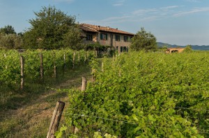 Azienda Agricola Baraccone