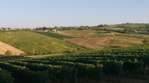 Azienda Agricola Malvicini