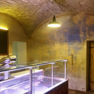 Gastromacelleria Ori