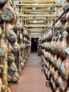 Salumificio Conti