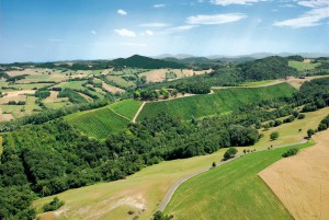 Cantina il Poggio