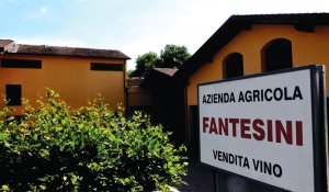 Azienda Agricola Cantina Fantesini