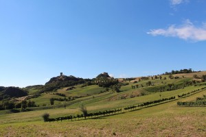 Strada del Casalino