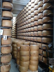 Bertoni   Parmigiano Reggiano