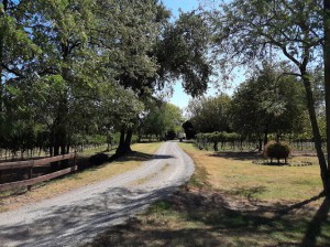 Tenuta La Piccola