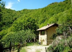 B&B La Fossa