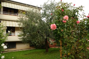 Bed & Breakfast Profumo D'Estate